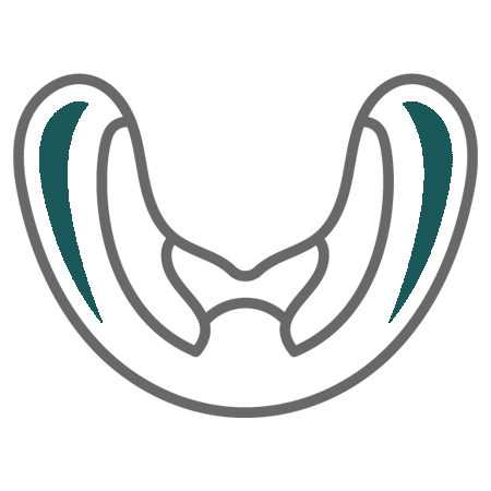 Emergency Dentist Pearland